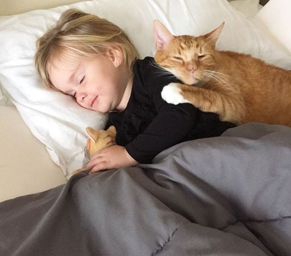 Touching Moment When Little Girl Sings ‘You Are My Sunshineu2019 To Her Dying Cat2