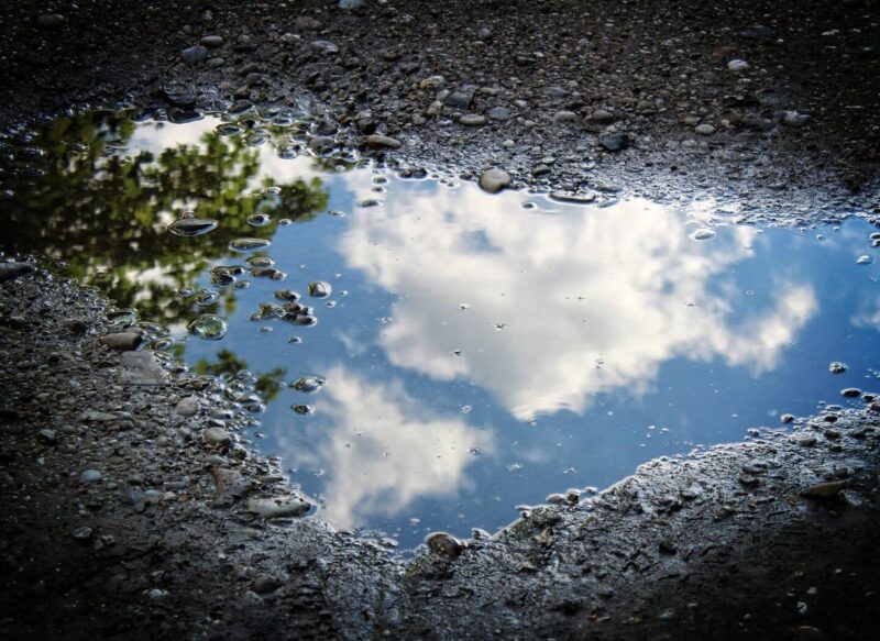 Puddle of Water