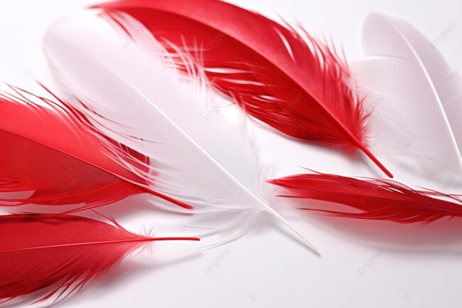 What is the Spiritual Meaning of Red Feather: Courage And Bravery